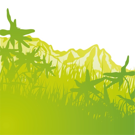 Mountain and Edelweissのイラスト素材