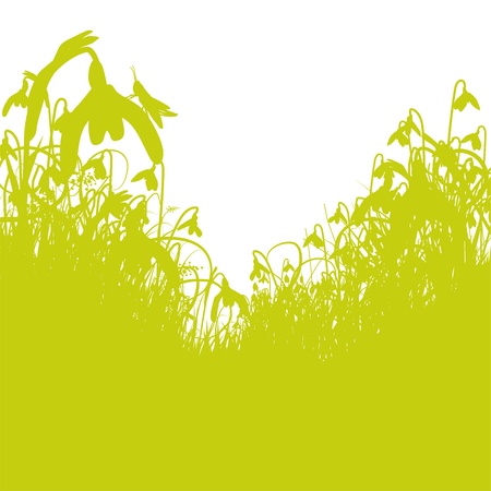 Lily of the Valleyのイラスト素材