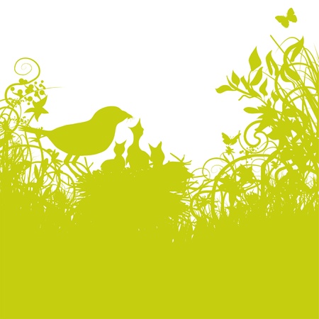 bird s-nest in the grasのイラスト素材