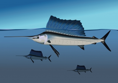 Marlins in the oceanのイラスト素材