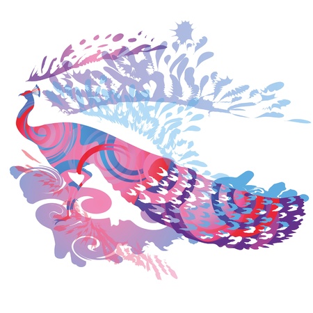 Glorious Peacockのイラスト素材