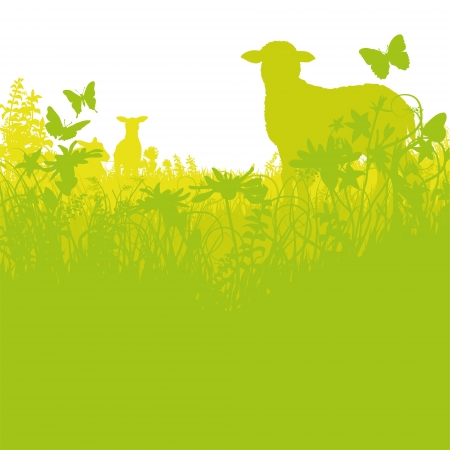 Lambs in the meadowのイラスト素材