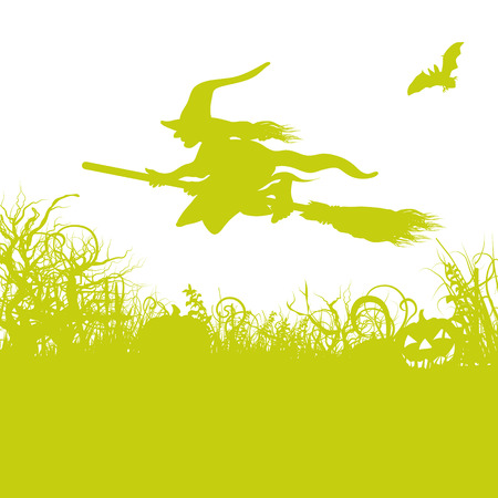 Witch on the broomのイラスト素材