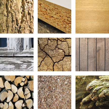 Nine images of wood の写真素材