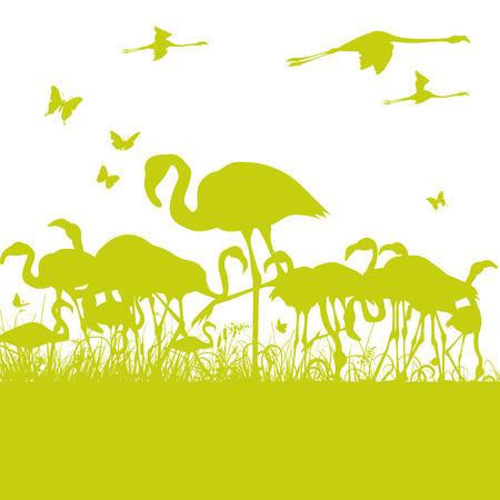 Flamingos at the pondのイラスト素材