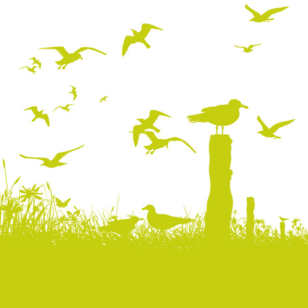 Seagulls at the seaのイラスト素材