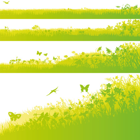 Four grass fields in the gardenのイラスト素材