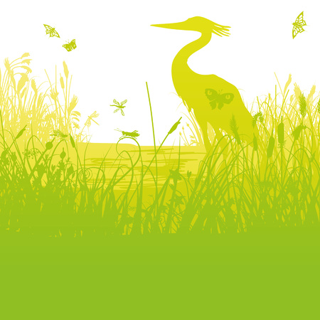 Heron in the reeds on the shore of a lakeのイラスト素材