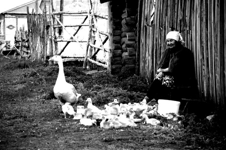 Peasant womanの素材