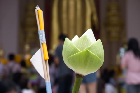 Hand holding lotus flower and incense sticks prepare by Buddhist for praying to Buddhaの写真素材