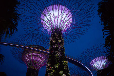 Singapore - Oct 14, 2018: Light show of Supertrees in Gardens by the Bay at night in Singapore