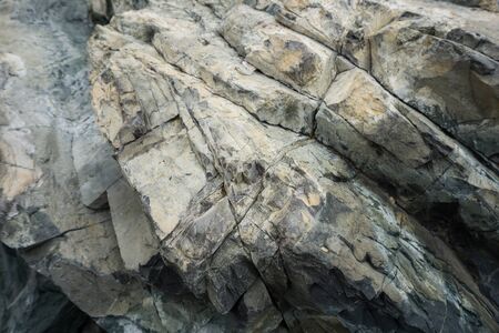 Close up of a sea rock textureの写真素材