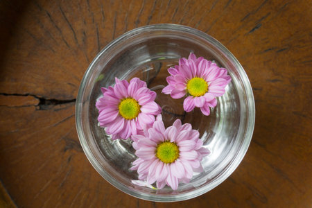Three Daisy flowers floating on a clear glass bowlの写真素材