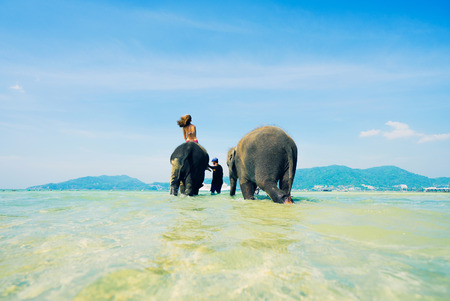 Thailand safari: woman in bikini riding on elephant . Tropical vacation.の写真素材