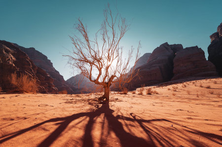 Tree in desert.