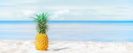 Pineapple on the beach with blue sky and sea background. Banner edition.の写真素材
