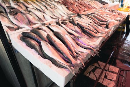 Fresh fishes in a market. Selective focus.の写真素材