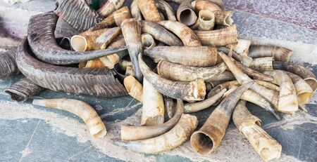Cow and buffalo horns on the floor for sale. Selective focus.の写真素材
