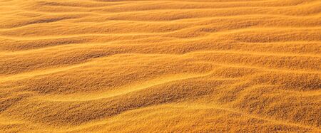 Wave of sand texture.  Selective focus. Banner.の写真素材