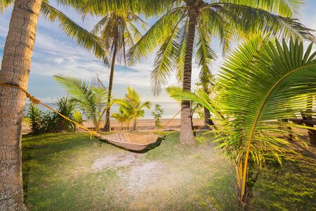 Hammock on the beach between palm trees. Sunset time.の写真素材