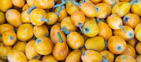 Fresh japanese loquat or medlar. Selective focus. Banner.