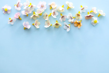Flat lay of flowers on blue background top viewの写真素材
