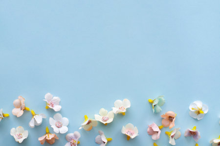 Flat lay banner of flowers on blue background top viewの写真素材