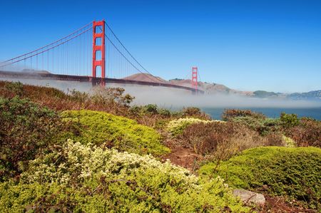 golden gate bridge, san francisco, ca, usaの写真素材
