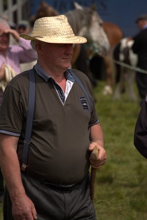 Clare, IRELAND - June 23, 2016: Spancill Hill, Ireland. Spancil Hill  Horse Fair. Spancill Hill Fair, Ireland's and Europe's oldest historic horse fair, which occurs annually on 23 June.のeditorial素材
