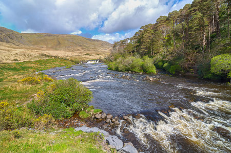 scenic nature connemara landscape from the west of ireland. epic irish rural countryside from county galway along the wild atlantic wayの写真素材
