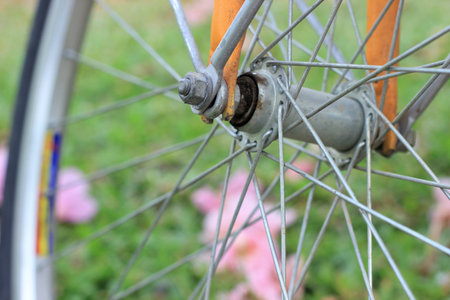 spokes of  a bicycle and flowers on ground in a public park on a sunny day in Bangkok, Thailand