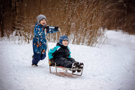 cute caucasian boy ride his brother on sleigh in winter park. high quality photo