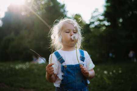 Pretty little girl blowing off dandelion seeds on sunset in summer park. Image with selective focus. high quality photoの写真素材