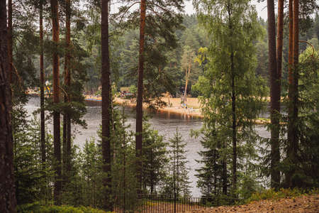 beautiful nature. View of forest lake and beach from behind pine trees. Image with selective focusの写真素材