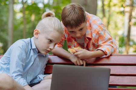 cute caucasian boys sitting on bench in park with laptop computer .Doing homework outdoors after schoolの写真素材