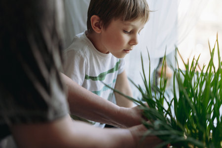 little boy helping his grandmother to pick fresh onion. Home container vegetables gardening conceptの写真素材