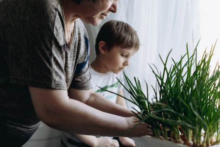 little boy helping his grandmother to pick fresh onion. Home container vegetables gardening conceptの写真素材
