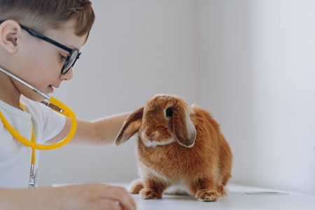 cute little boy playing vet stethoscoping a rabbit. high quality photoの写真素材