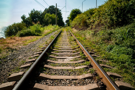 railroad tracks along the coast. railway on the south of russia. high quality photo