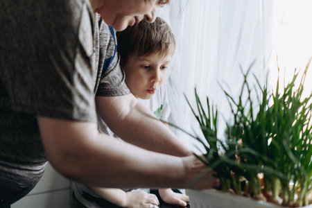 little boy helping his grandmother to pick fresh onionの写真素材