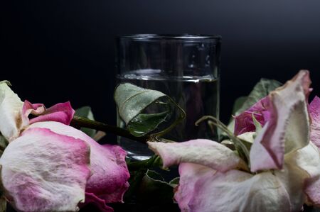 Water drops on black backgroundの写真素材