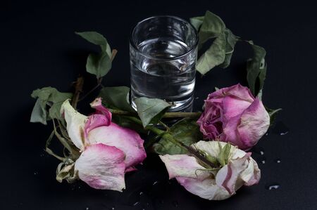 Water drops on black background. Dropsyの写真素材