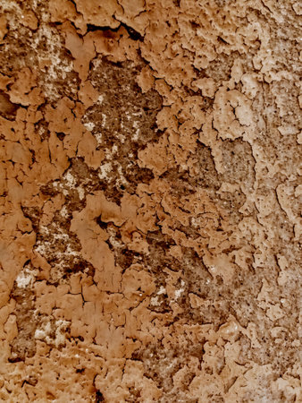 Texture of old rustic wall covered with yellow stucco. Abstract background for design.の写真素材