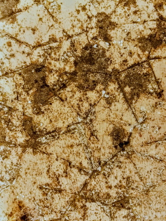 grunge background with space for text or image. Great background or texture.の写真素材