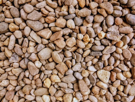 Pebble stone texture background, pebble stone background.の写真素材