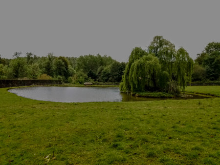 A view of a lake in the middle of a green meadowの写真素材
