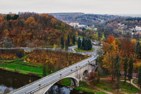 Colorul spring forest in Chech republicの写真素材