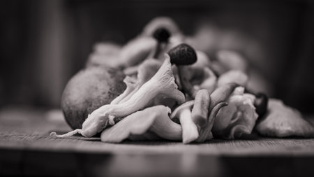 Dried mushrooms on a wooden table. Selective focus. Toned.の写真素材
