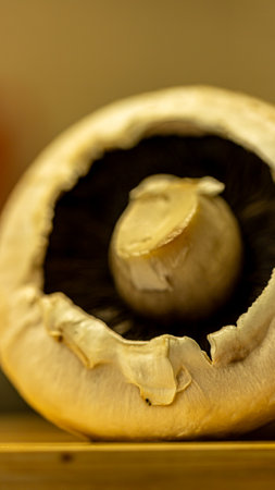 Close up of a champignon mushroom on a wooden table.の写真素材