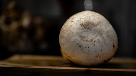 Fresh champignon mushroom on a wooden board. Selective focus.の写真素材